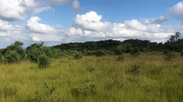 Residential Stand for Sale