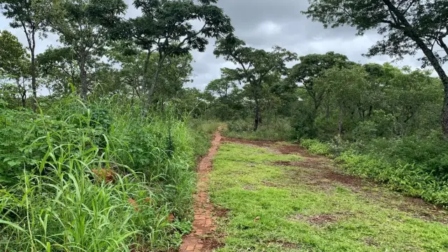 Residential Stand for Sale