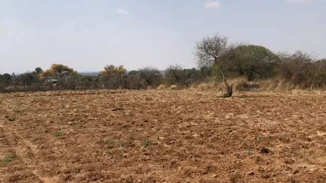 Residential Stand for Sale