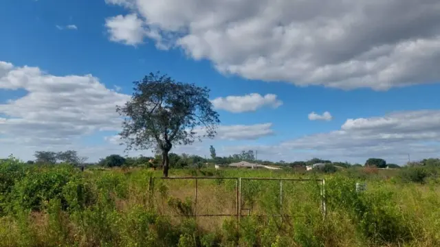 Residential Stand for Sale