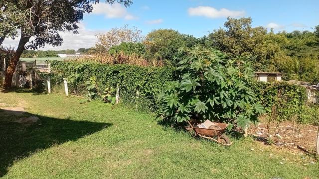 Stand for Sale in Helensvale