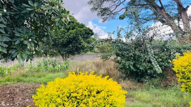 Residential Stand for Sale inHatfield