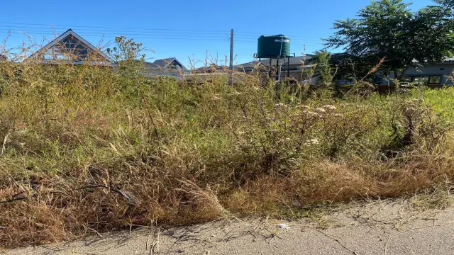 Residential Stand for Sale