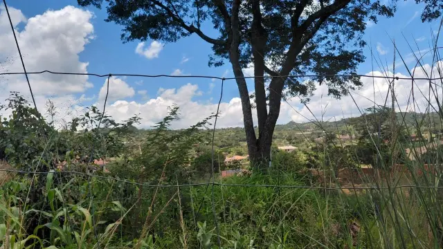 Residential Stand for Sale