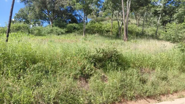 Residential Stand for Sale