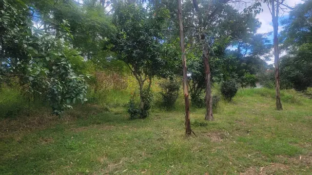 Residential Stand for Sale inColne Valley