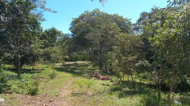 Residential Stand for Sale