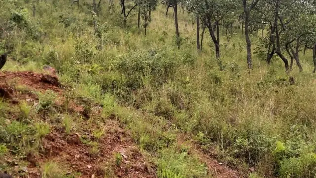 Residential Stand for Sale