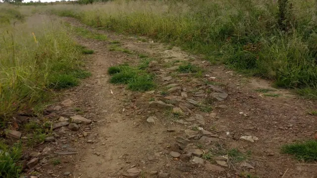 Residential Stand for Sale