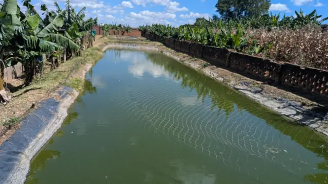 Farm/Plot for Sale in Norton