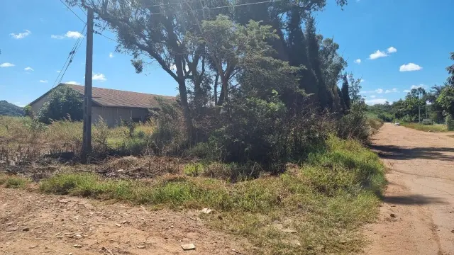 Commercial Stand for Sale