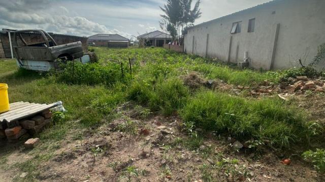 Stand for Sale in Chadcombe