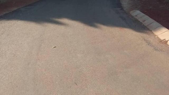 Stand for Sale in Borrowdale