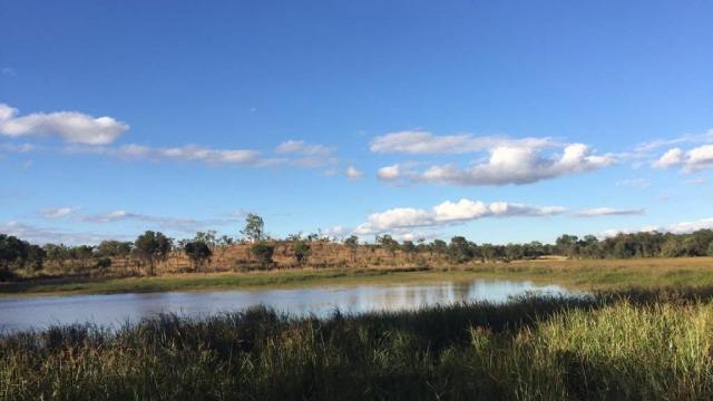 Stand for Sale in Gweru East