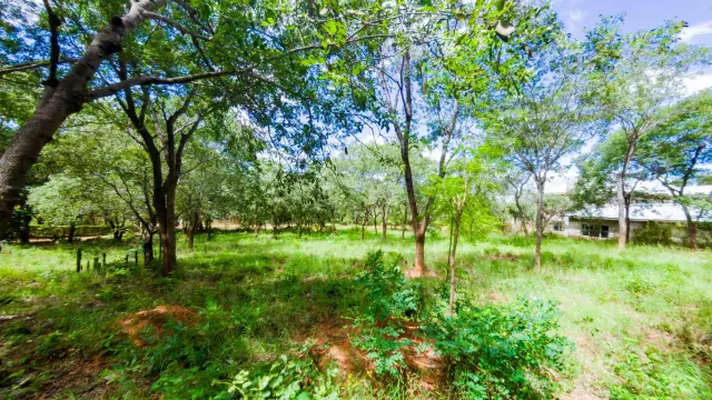 Residential Stand for Sale in Mornington