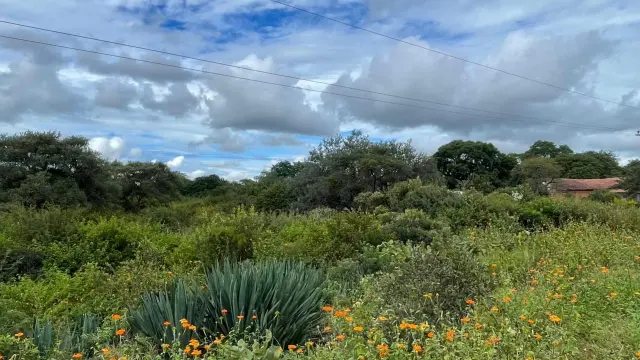 Farm/Plot for Sale in Matsheumhlope