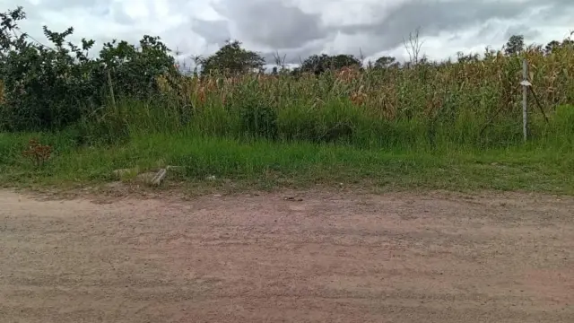 Residential Stand for Sale