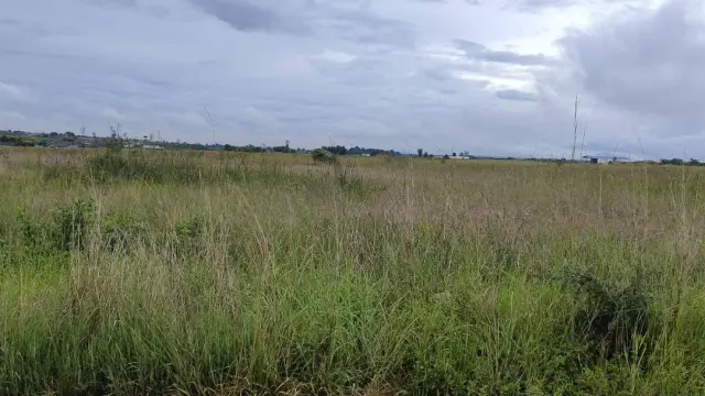 Residential Stand for Sale