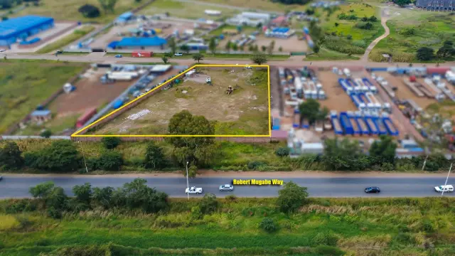 Commercial Stand for Sale