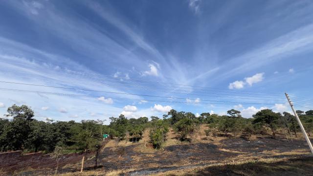 Stand for Sale in Shawasha Hills