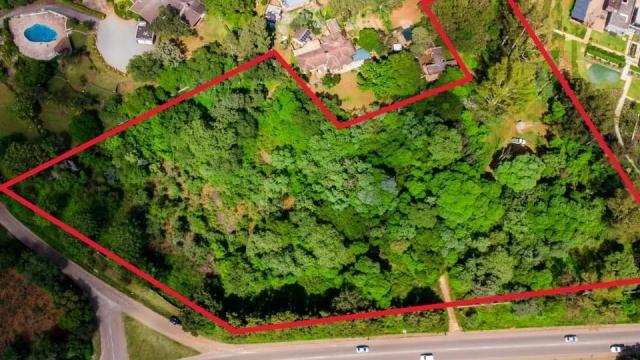 Stand for Sale in Rolf Valley