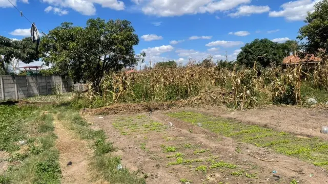 Residential Stand for Sale in Waterfalls