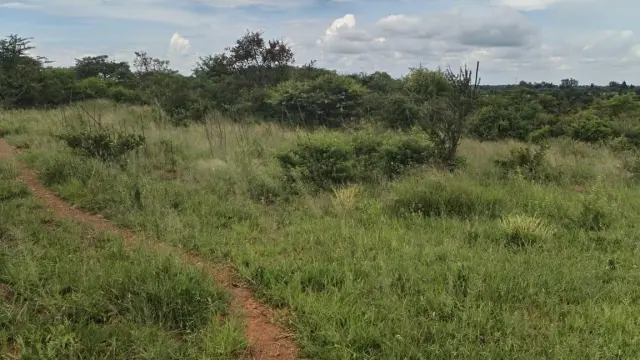 Residential Stand for Sale