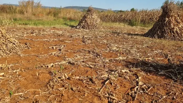 Residential Stand for Sale in Norton