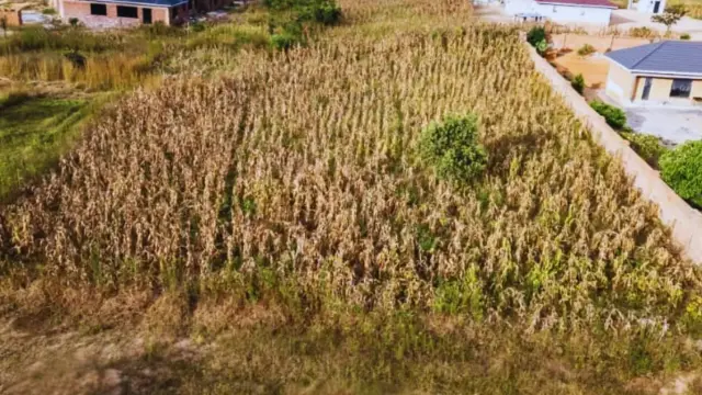 Residential Stand for Sale in Marondera