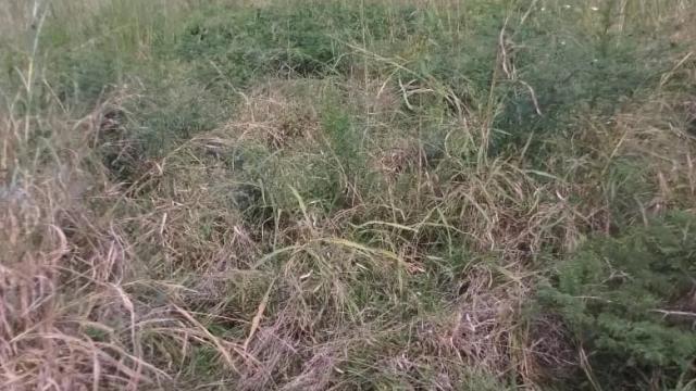 Stand for Sale in Bindura