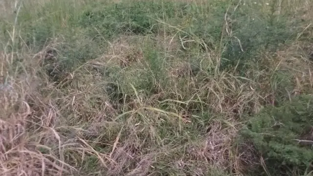 Residential Stand for Sale in Bindura