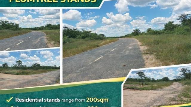 Stand for Sale in Plumtree