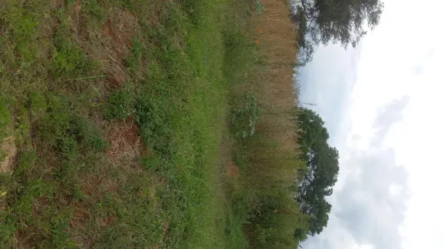 Residential Stand for Sale in Borrowdale Brooke