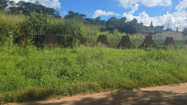 Stand for Sale in Glen Lorne