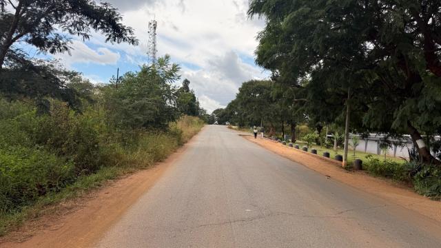 Stand for Sale in Borrowdale