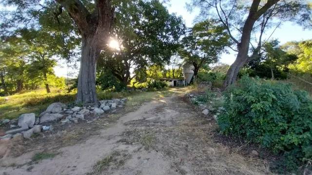 Farm/Plot for Sale in Hatfield