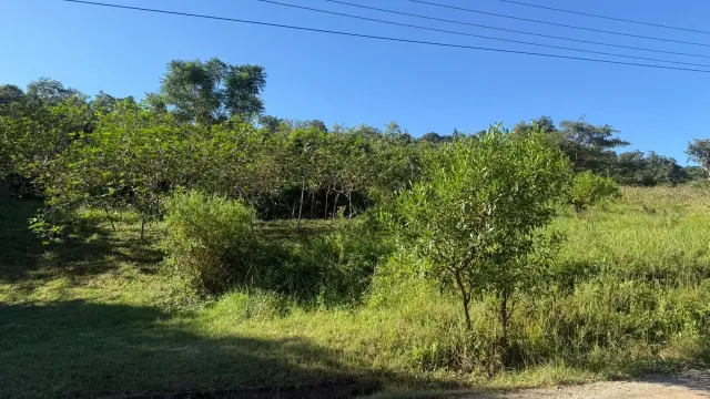 Residential Stand for Sale