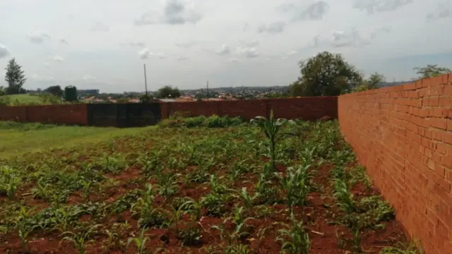 Residential Stand for Sale in Glen Forest