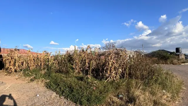 Residential Stand for Sale inSouthview Park