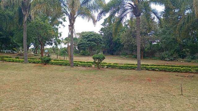 Stand for Sale in Helensvale