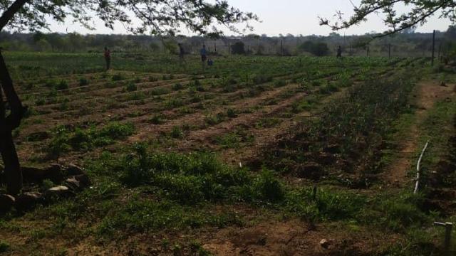 Stand for Sale in Kensington Byo