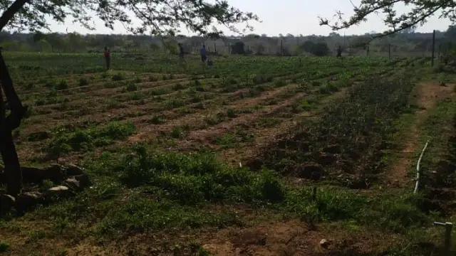 Residential Stand for Sale in Kensington Byo