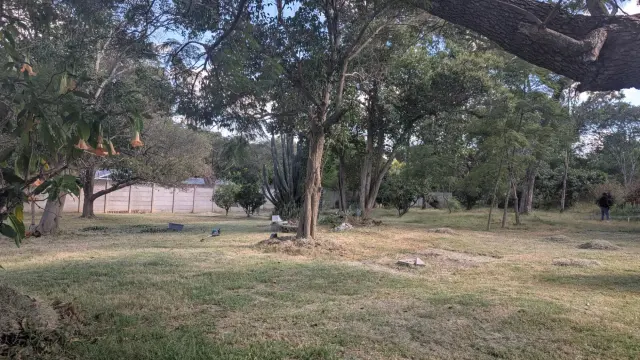 Residential Stand for Sale inColne Valley