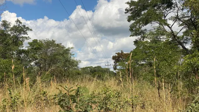 Farm/Plot for Sale in Kadoma