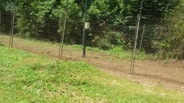 Residential Stand for Sale in Borrowdale Brooke