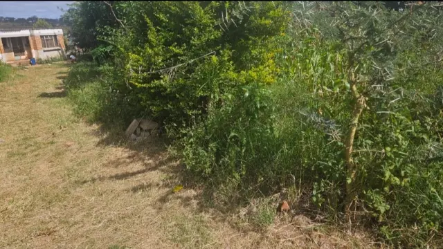 Residential Stand for Sale in Hatcliffe