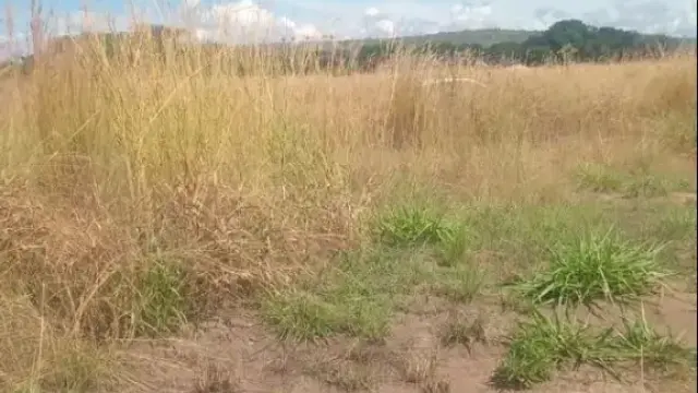 Residential Stand for Sale