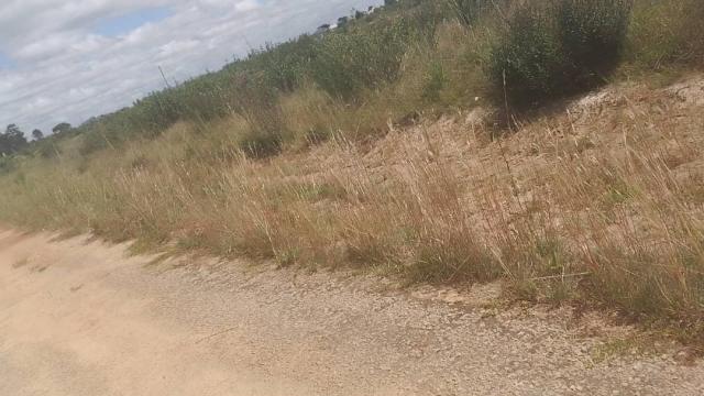 Stand for Sale in Ruwa