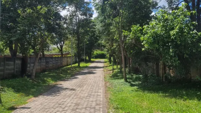 Residential Stand to Rent