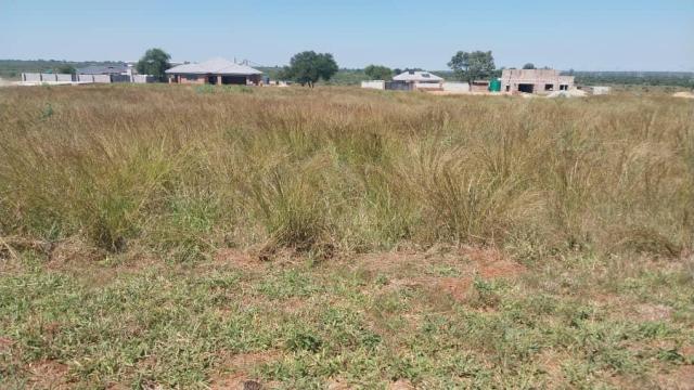 Stand for Sale in Mahatshula